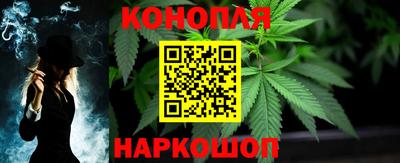 гидра Заволжье