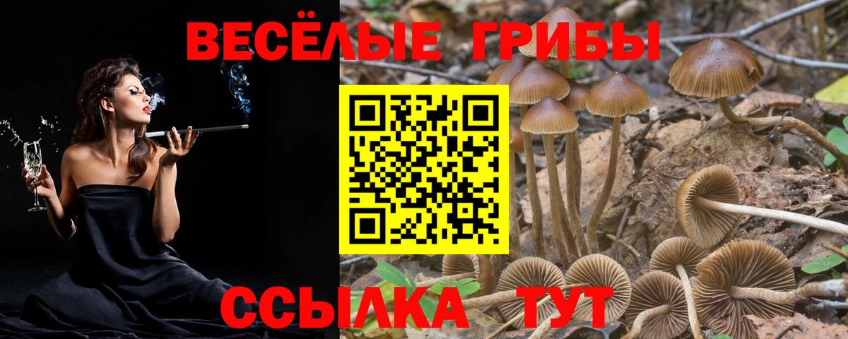 купить наркотики цена  Симферополь  Галлюциногенные грибы Cubensis 