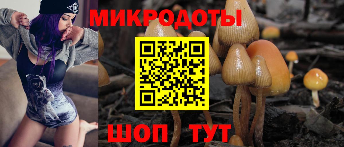 где купить   Галлюциногенные грибы GOLDEN TEACHER  Галлюциногенные грибы мицелий  Вход с VPN  Симферополь 